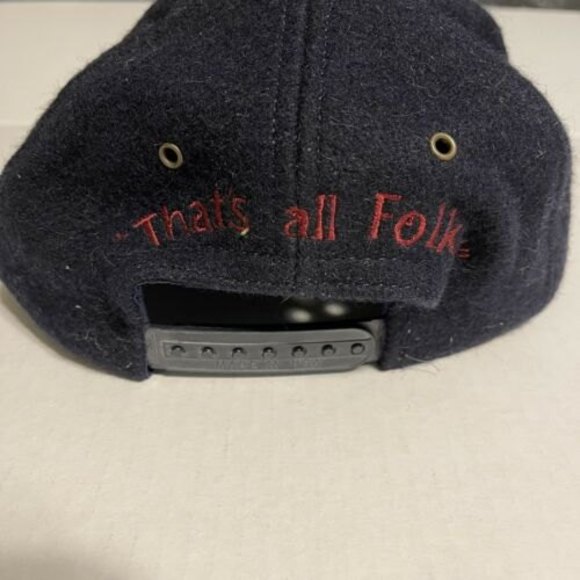 Acme Clothing Looney Tunes Warner Brothers Vintage Wool 1991 Snapback Hat - Picture 3 of 8